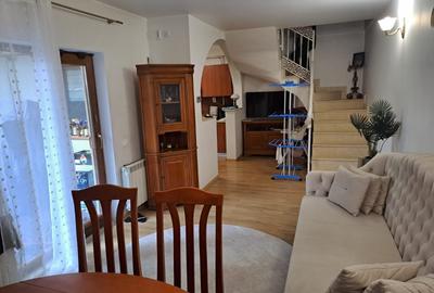 Drumul Sarii - Razoare, singur curte, constructie 2010semimobilata - 6