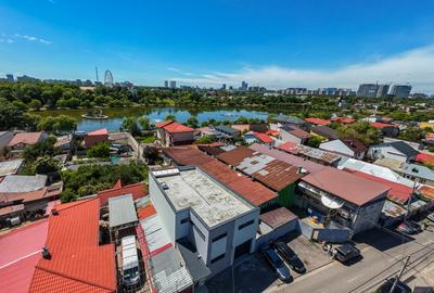 Hala / Spatiu Productie / Rezidential - Vedere catre lac - 1