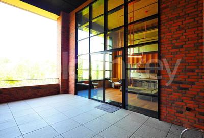 Apartament Loft spatios cu 4 camere | terasa 32mp - 24