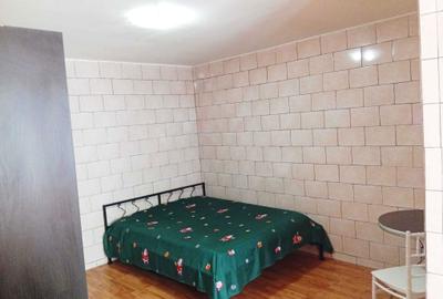 Garsonieră semidecomandată în Vitan - 4