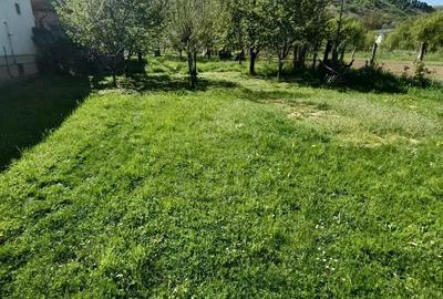 Teren de 994 mp, în Luna - 1