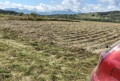 Teren extravilan Vulcan BV - 4