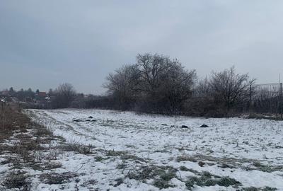 Teren Construcții extravilan de 35000 mp, în Petrăchioaia - 5