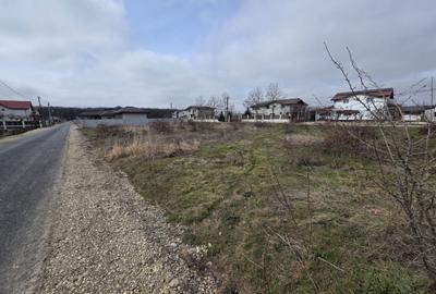 Spațiu comercial, în Cosoba - 4