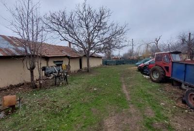 Casă de vânzare, Tudor Vladimirescu, Jud. Galați, 3860mp teren - 5
