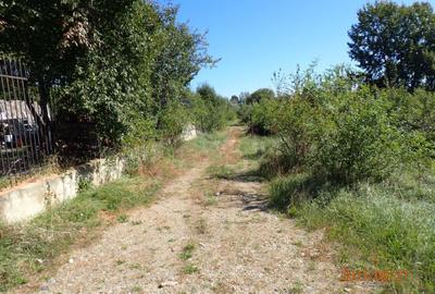 Spațiu comercial, în Cisnădioara - 3