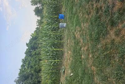 Casa de vanzare + teren ieftina - 1