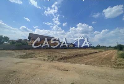 Parcele de Vanzare, Calea Bucuresti - Aleea Sfantu Dumitru - 11