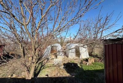 Casă cu Teren 1304 Mp în Arpășel - 3