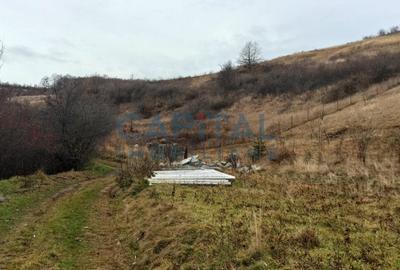 Teren Construcții extravilan de 2400 mp, în Săvădisla - 3