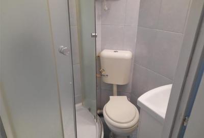 Garsoniera Spatioasa zona Aradului Garsoniera Spatioasa zona Aradului - 2