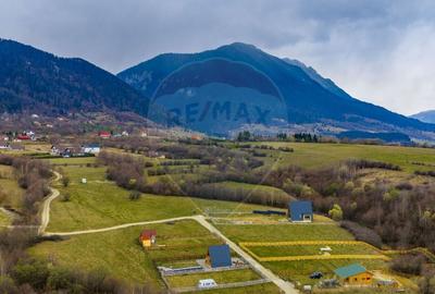 Teren Construcții intravilan de 480 mp, în Tohănița - 7