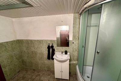 Casa de vanzare in Cig (Tasnad), Satu Mare - 10