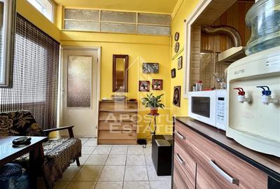 Casă cu 5 camere cu Piscina în Elisabetin - 8