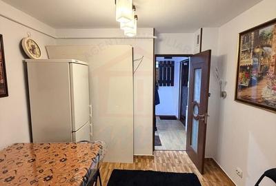 Apartament cu 3 camere decomandat în Siderurgiștilor - 4