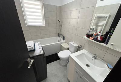 Apartament cu 2 camere semidecomandat, mobilat în Theodor Pallady - 9
