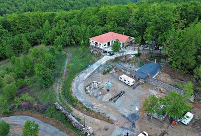 Casă individuală cu 4 camere cu Teren 27000 Mp în Codrișoru - 11