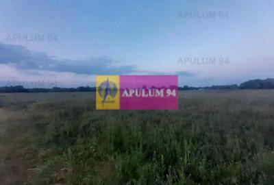 Teren de 3820 mp, în 1 Decembrie - 7