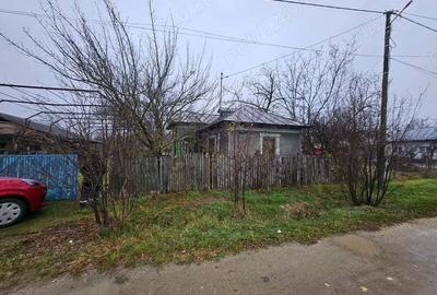 Gospodarie cu 2 case Comuna Trivale Mosteni, sat , la 30 km de Alexandria, jude?ul Teleorman Gospodarie cu 2 case Comuna Trivale Mosteni, sat , la 30 km de Alexandria, jude?ul Teleorman - 4