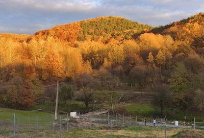 Teren de 2000 mp, în Boholt
