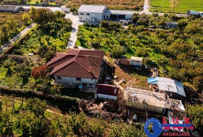 ID 7785 LIVADA SABANGIA DE VANZARE - 21