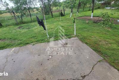 Casă cu 6 camere cu Teren 1017 Mp în Moșnița Nouă - 13