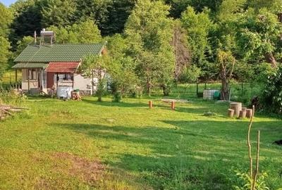 Casa, teren si padure de vanzare-40.000 mp, direct proprietar in Apuseni. - 3