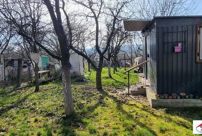 Teren de 1996 mp, în Viile Satu Mare - 5