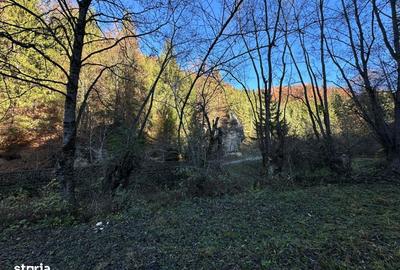 Teren de 2882 mp, în Dâmbovicioara - 8