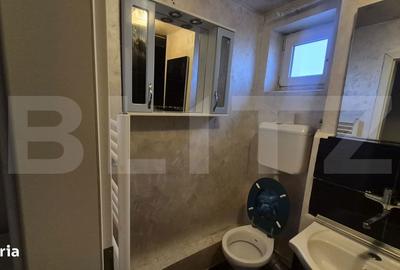 Apartament cu 2 camere semidecomandat în Botizului - 6