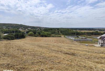 Spațiu comercial, în Leșile - 1