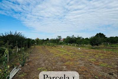 AV622 Teren intravilan, ORTISOARA, 2 parcele, toate utilitatile - 3