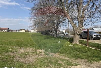 Teren de 5000000 mp, în Slobozia Ciorăști - 6