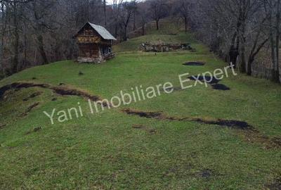 Teren de vanzare in comuna Arefu, jude? Arge?. - 18
