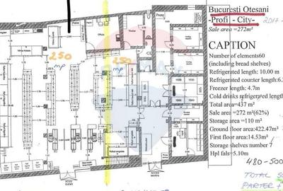 Spațiu comercial, de 501 mp, în Teiul Doamnei - 5