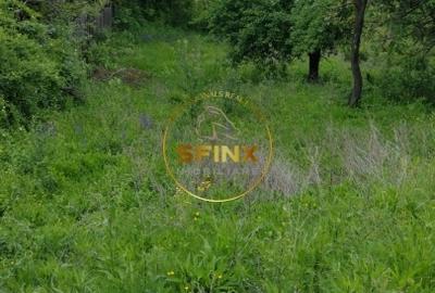 Teren intravilan de vanzare in Breaza Strada Primaverii - 3