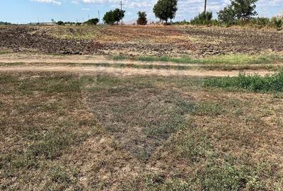 De vanzare teren intravilan 4000 mp deschidere 150 m Fundulea - 13