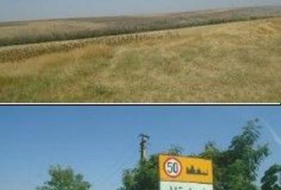 Teren de 6000 mp, în Vârlezi - 3