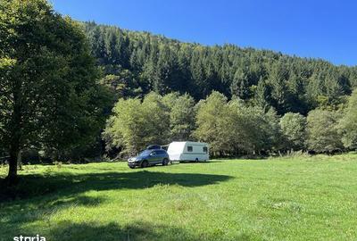 Teren de 7591 mp, în Poiana Mărului