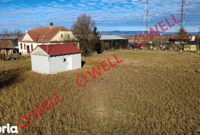 Teren de 3563 mp, în Boroșneu Mare - 3