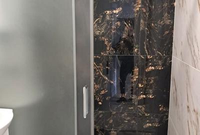 Apartament cu 2 camere semidecomandat în Aurel Vlaicu - 10