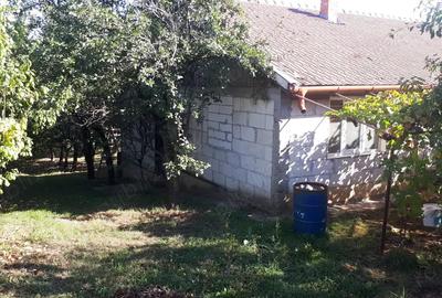 Casa mare de familie + casa secundara, teren 5500 m , 300 pomi Oradea, strada Prunilor - 7