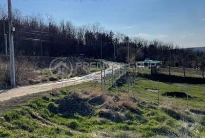 Teren Construcții intravilan de 477 mp, în Aroneanu - 3