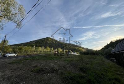 Teren la poalele Cetății Cisnadioarei de vânzare/1250 mp Teren la poalele Cetății Cisnadioarei de vânzare/1250 mp - 9