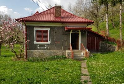 Casă individuală cu 2 camere cu Teren 7000 Mp în Runcu - 6