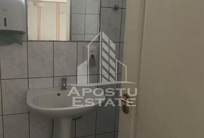 Casa unifamiliala în Timișoara,cu spațiul comercial - 20