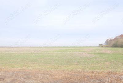 Teren de 270000 mp, în Gherghița - 6