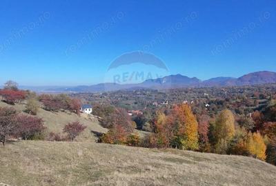 Teren de 2500 mp, în Bran - 1