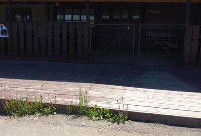 Spațiu comercial, de 150 mp, în Vama - 3