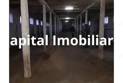 Ferma langa Oravita 5600 mp construiti si teren 24281 intravilan - 6